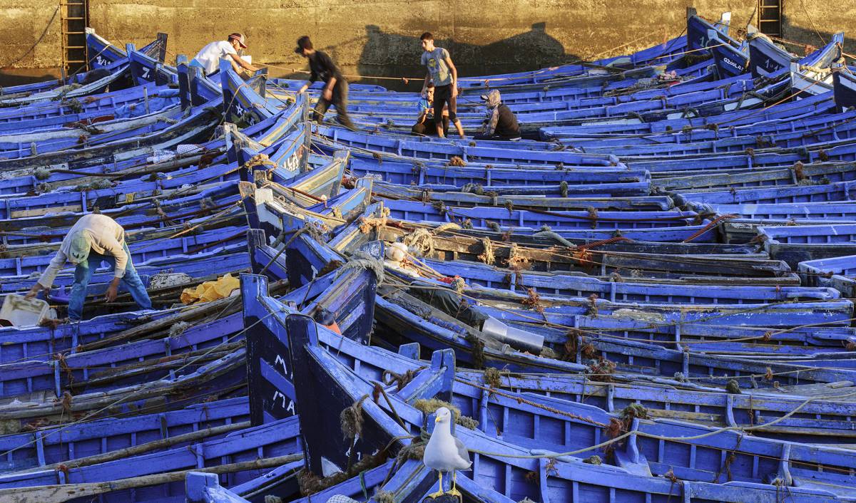 Essaouira a contraluz