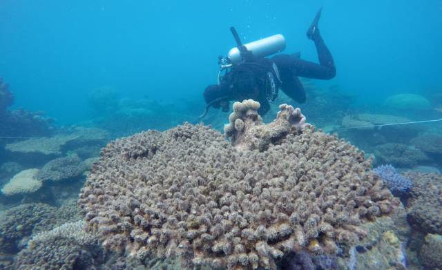 El paisaje marino de tus sueños, amenazado por el cambio climático