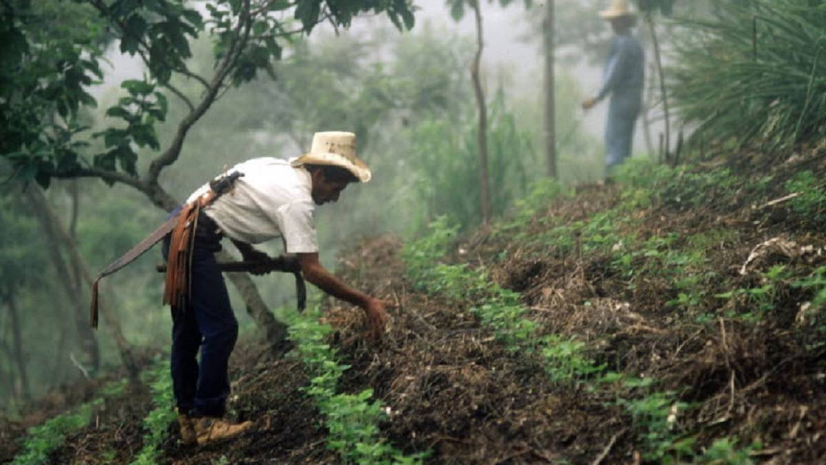 Con esta web sabrás quién posee las tierras