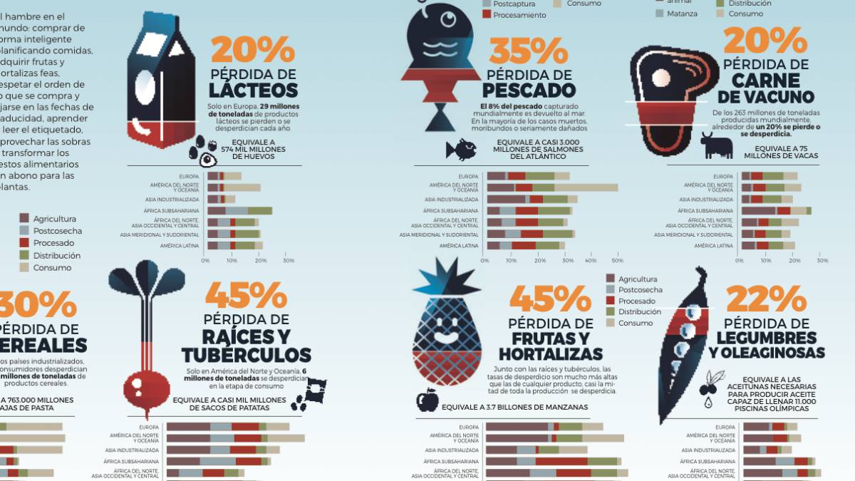 Las cifras del desperdicio de comida