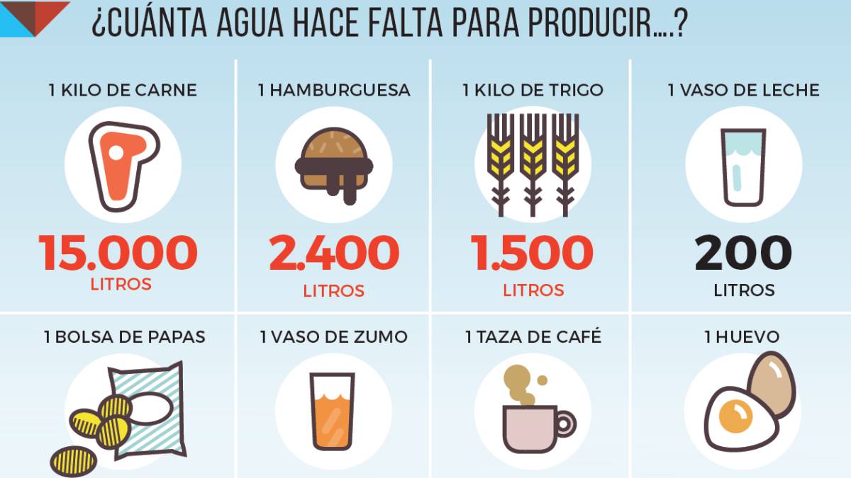 Ocho gráficos para entender los retos del medioambiente