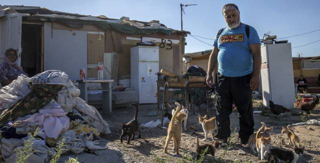 As Madrid shanty town demolished, man must pick one of his 100 cats