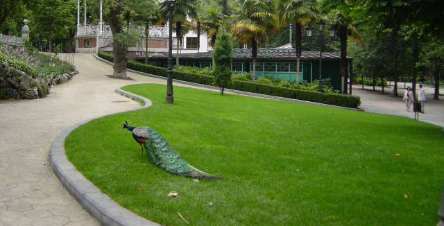 Elderly Spanish couple end up sleeping in park after being evicted from home