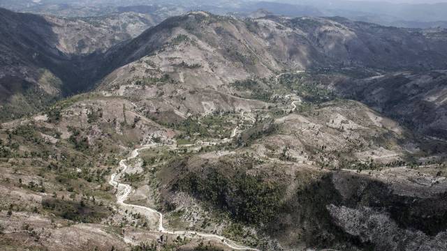 Haití se está quedando sin bosques