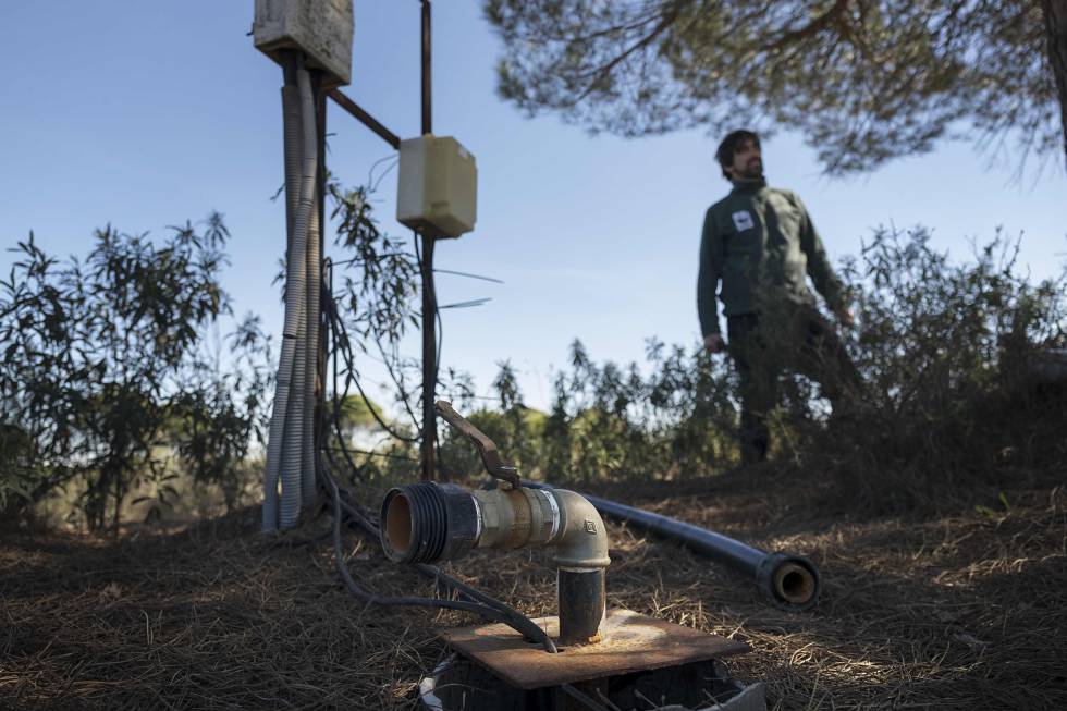 Captación para extracción ilegal de agua abandonada en Doñana.