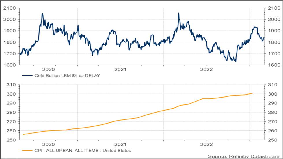 Gráfico 1 relación entre la evolución del precio del oro (en azul) y el IPC USA (naranja)