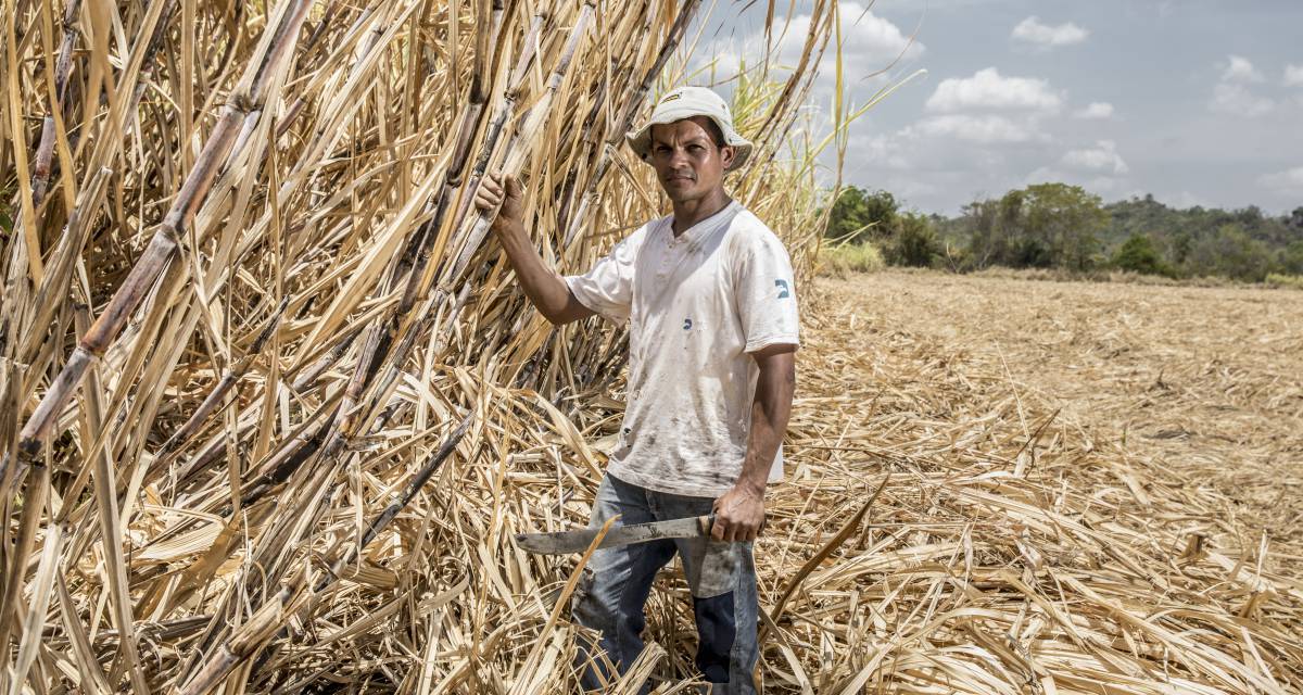 Dentro de la destrucción secreta de la gran sabana de Brasil