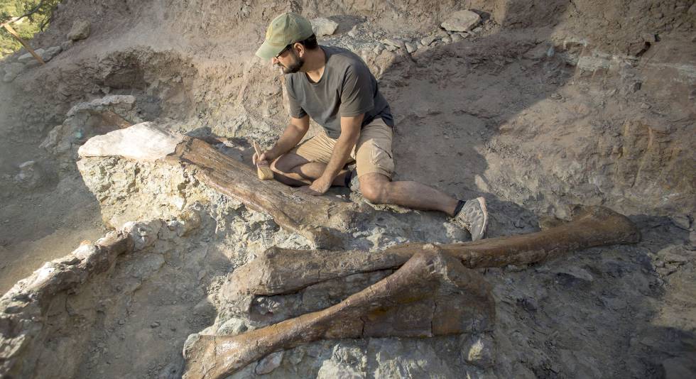 Las Entranas De Morella Arrojan Restos De Un Dinosaurio De Hace 125 Millones De Anos Comunidad Valenciana El Pais