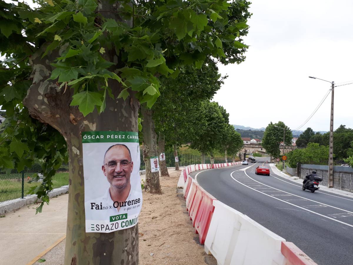 Elecciones Municipales 19 Los Politicos Que No Amaban Los Arboles Galicia El Pais