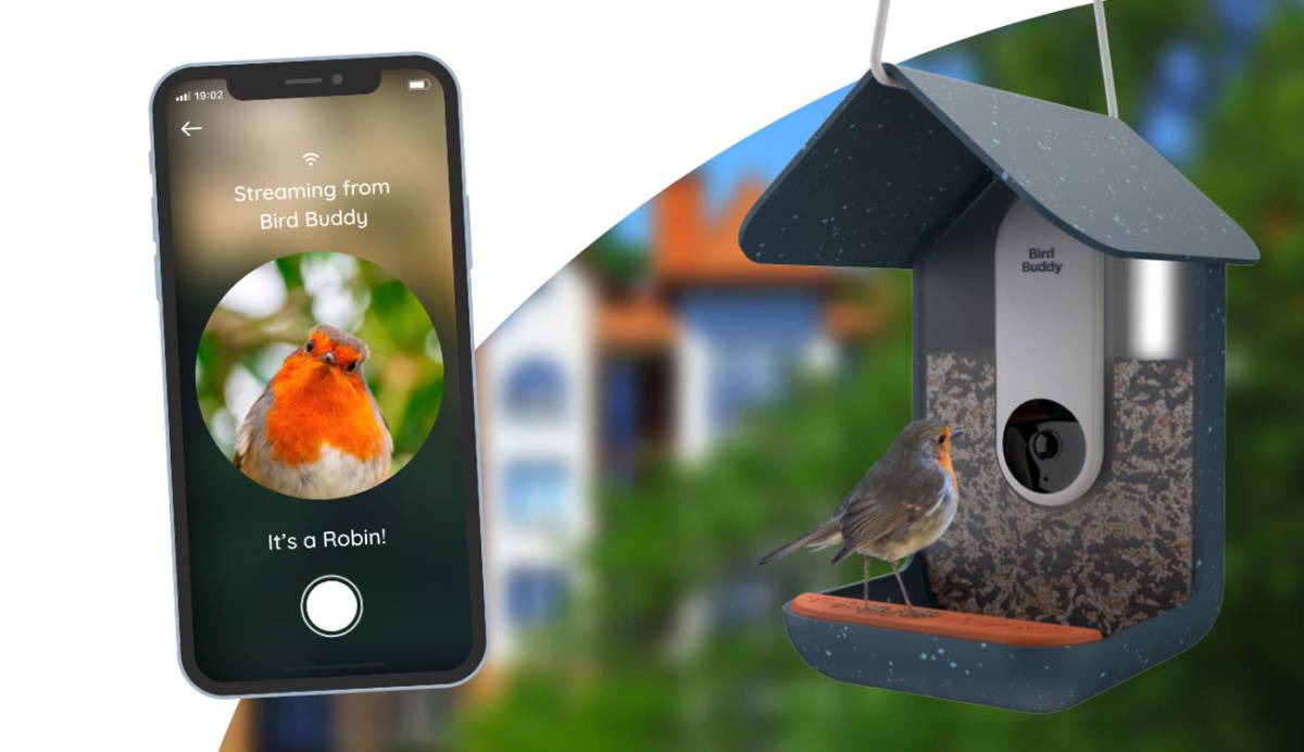 Bird Buddy, el comedero de pájaros inteligente que controlarás con el móvil