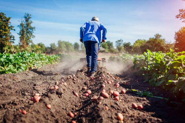 Urgencia de una solución inmediata para los autónomos de La Palma