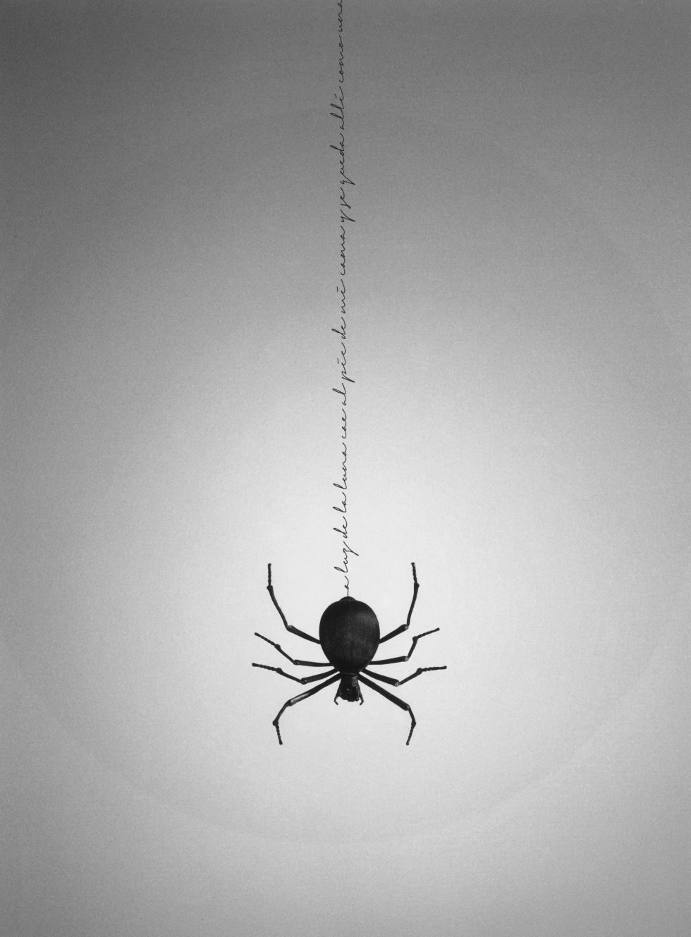 Resultat d'imatges de chema madoz