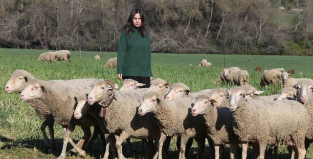 La literatura toma tierra