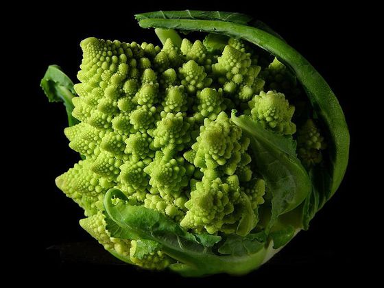 800px-fractal_broccoli