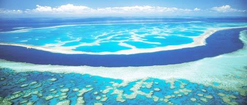 Great-barrier-reef