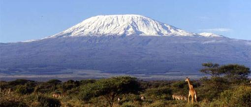 Kilimanjaro