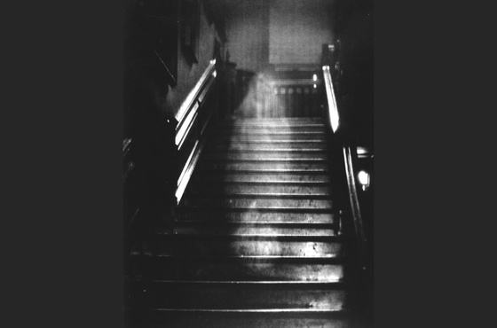 Brown Lady of Raynham Hall