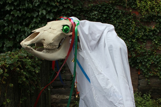 Mari_Lwyd_(wiki)