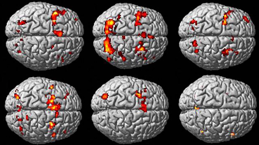 Resultado de imagen para manipulen el cerebro