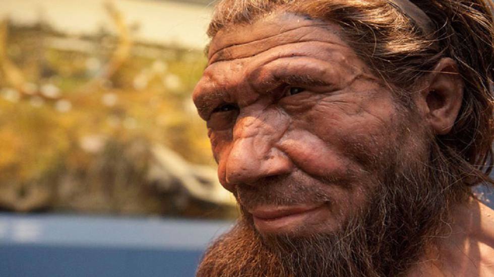 Todas las personas fuera de África llevan entre 2 y 3% de ADN neandertal, dice estudio