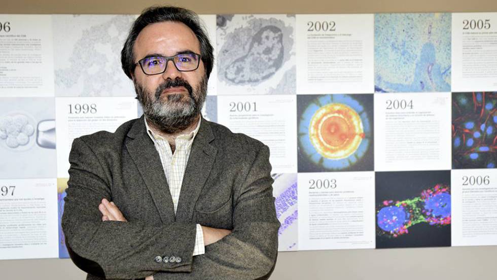 Lluís Montoliu: “Han creado una estirpe nueva de humanos” | Ciencia | EL PAÍS