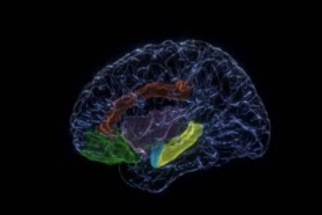 La estimulación eléctrica del cerebro mejora el estado de ánimo