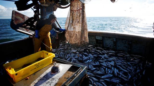 Los barcos pescan más dentro de las áreas protegidas que fuera de ellas