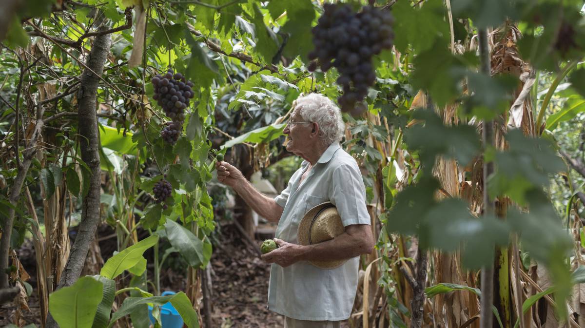 El valenciano que se hizo un seguro contra el hambre