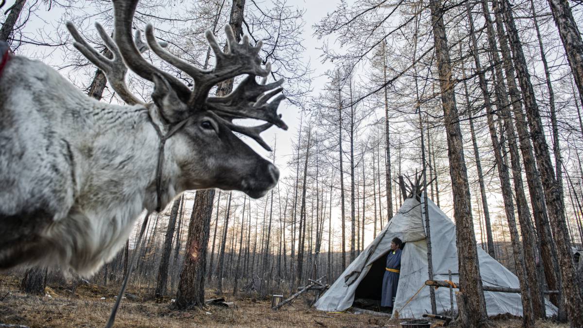 La ancestral tribu siberiana que choca con la ecología