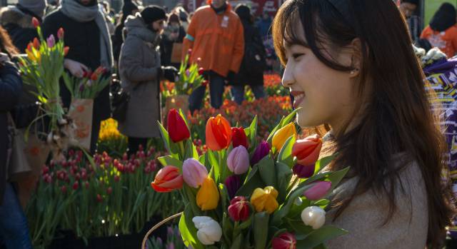 ¿De dónde salen los colores de las flores?