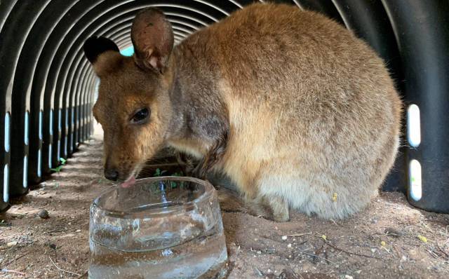 Estados Unidos se hiela mientras Australia se quema