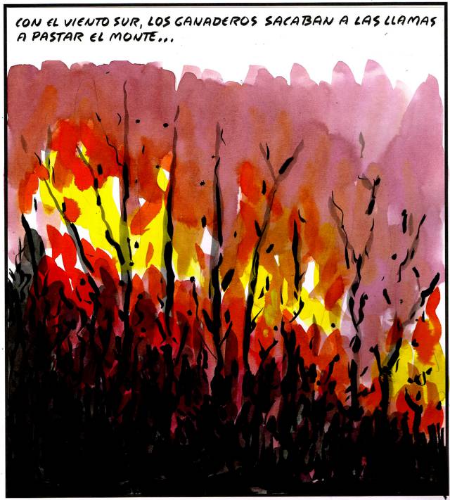 El Roto