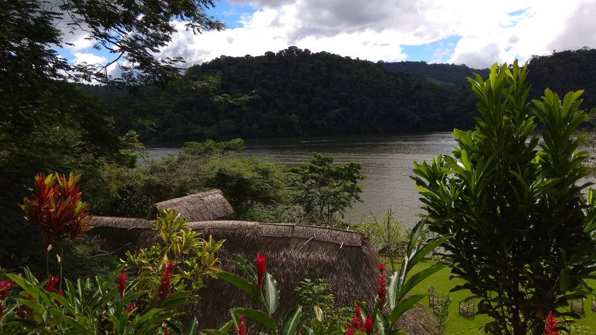 San Martín y la salvación de los bosques del Amazonas