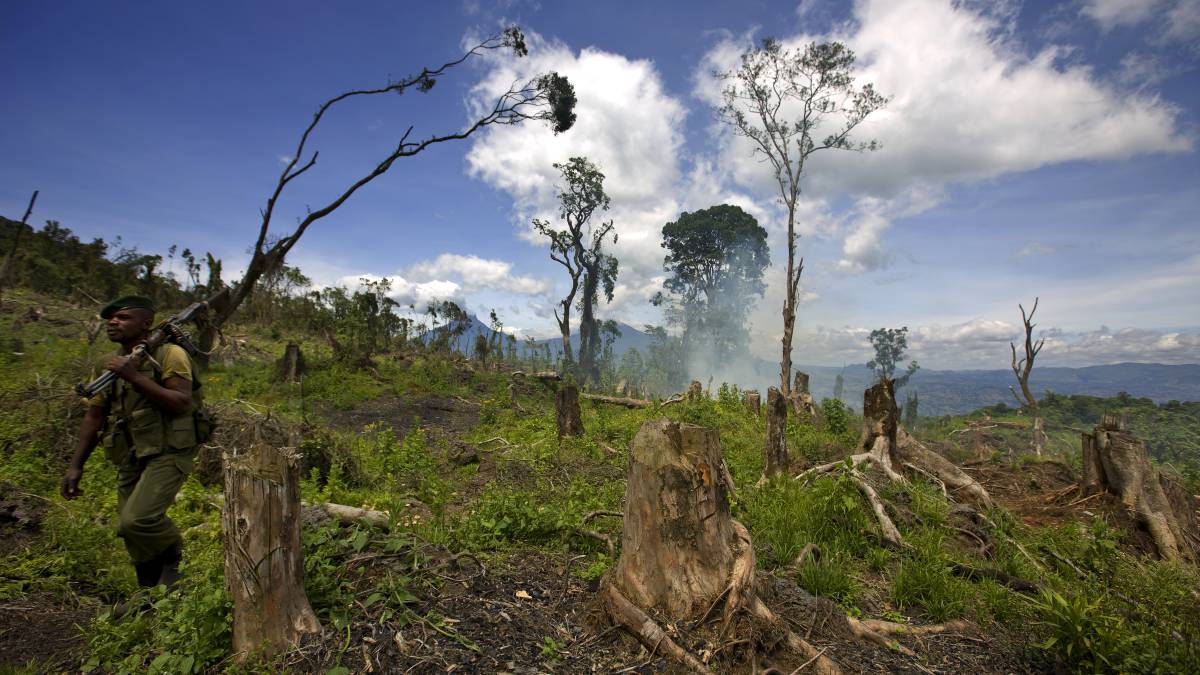 Una 'app' española para evitar que tus muebles sean ilegales