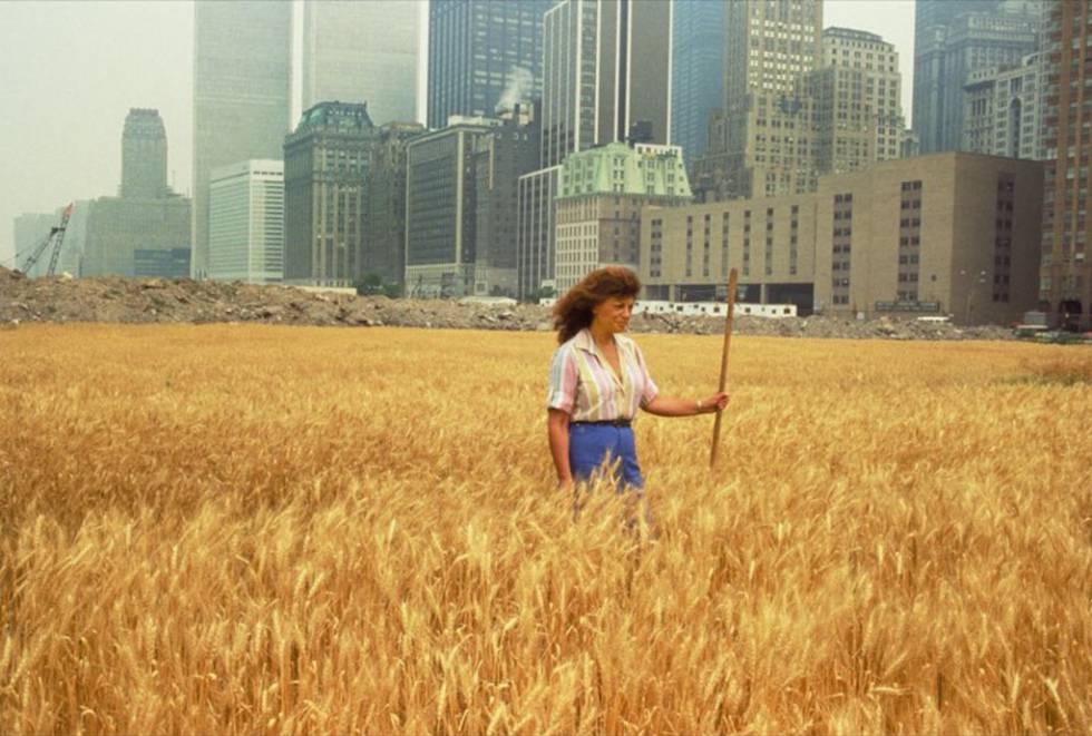 Un Campo De Trigo En Manhattan Blog Del Tirador A La Ciudad El Pais