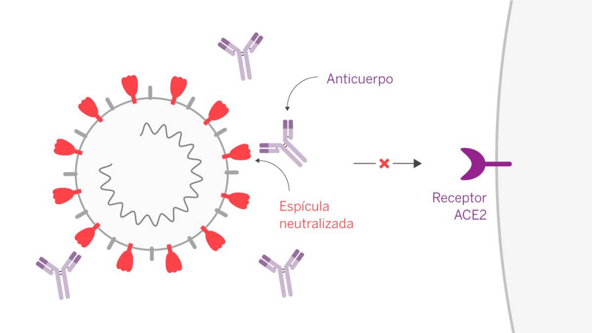 Los fármacos más caros del mundo: la gran esperanza para frenar la pandemia