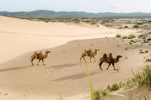 Las tierras de los mongoles ya han entrado en una nueva era climática