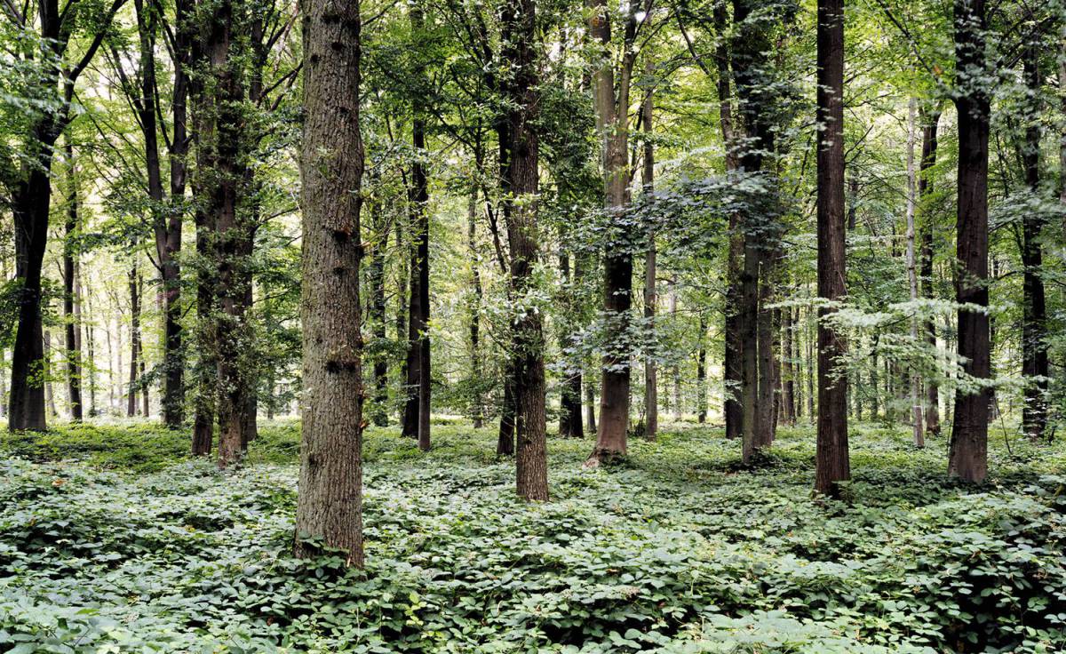 Visibilidad de lo invisible, por ANTONIO MUÑOZ MOLINA