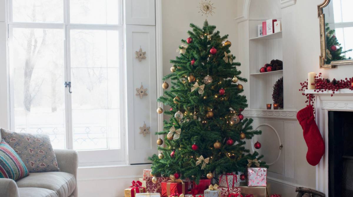 Los mejores árboles de Navidad para decorar el salón de casa o el jardín