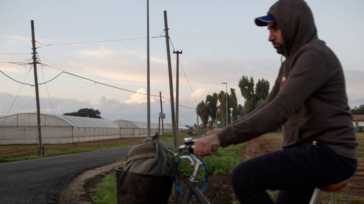 Los nuevos esclavos del campo italiano