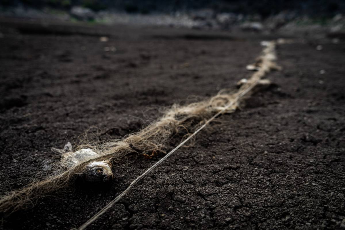 La muerte de una laguna en Hidalgo muestra el azote de la sobreexplotación y la crisis climática