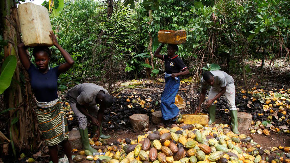 ¿A qué sabe el chocolate? A injusticia, responden en Ghana