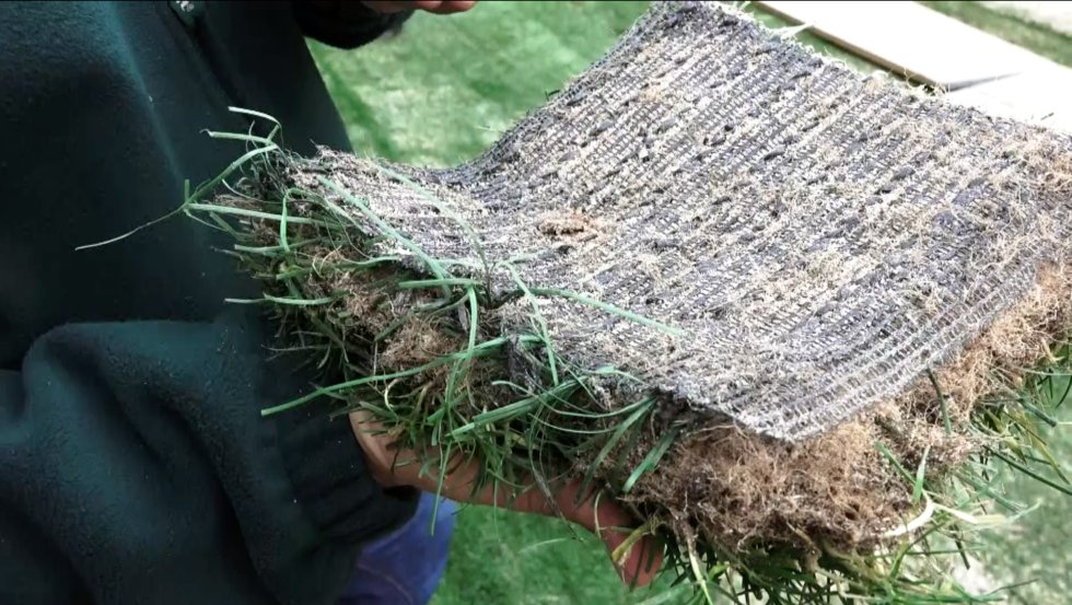 El Atlético de Madrid ha sido uno de los últimos en clubes en sumarse a la tendencia del césped híbrido. El conjunto rojiblanco instaló este sistema la pasada temporada en el Wanda Metropolitano y se sumó al Real Madrid, el Villarreal y hasta siete clubes más. Un tepe de césped híbrido es igual a la vista que uno natural. Dentro de la planta, sin embargo, se encuentran fibras de césped artificial que están atadas a una malla perforada que permite el paso del agua y de las raíces. Ese 2% de fibras artificiales logra que el terreno sea mucho más estable, algo que favorece el buen juego y la seguridad física de los futbolistas.