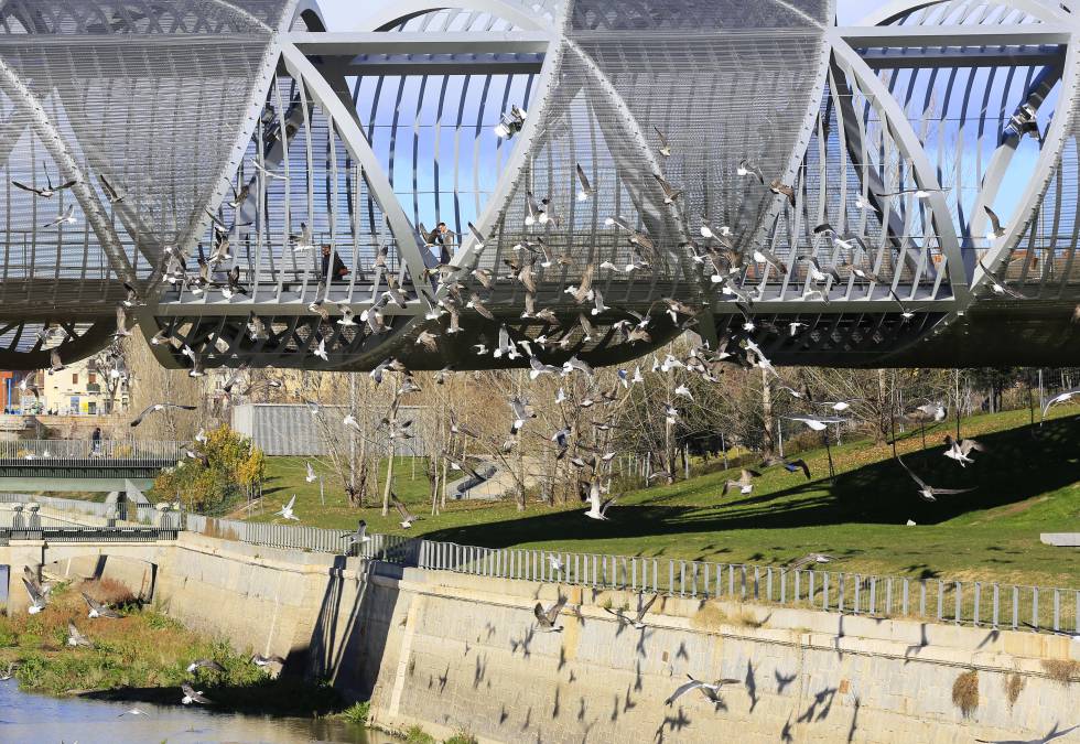 El puente de Arganzuela conecta el distrito de Usera (en la margen izquierda) con el de Arganzuela.