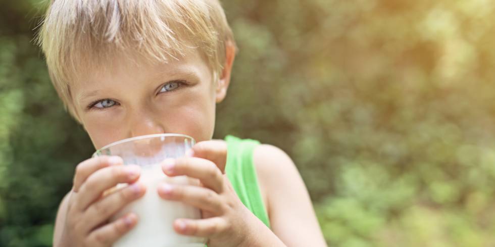 La leche, fuente de salud