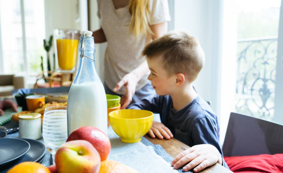 Leche y bebidas vegetales: diferencias nutricionales