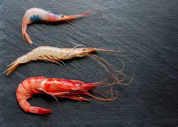 ¿Es mejor comprar las gambas cocidas o crudas y cocerlas en casa?