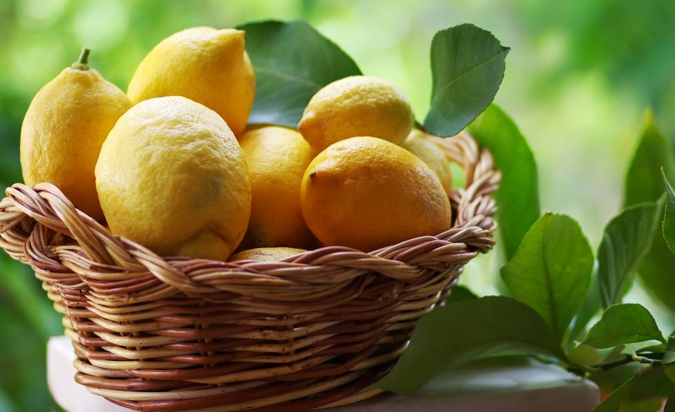 Sal de Frutas Limón - Sal García