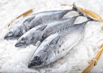 Por qué debes mirar las agallas del bonito del norte antes de comprarlo