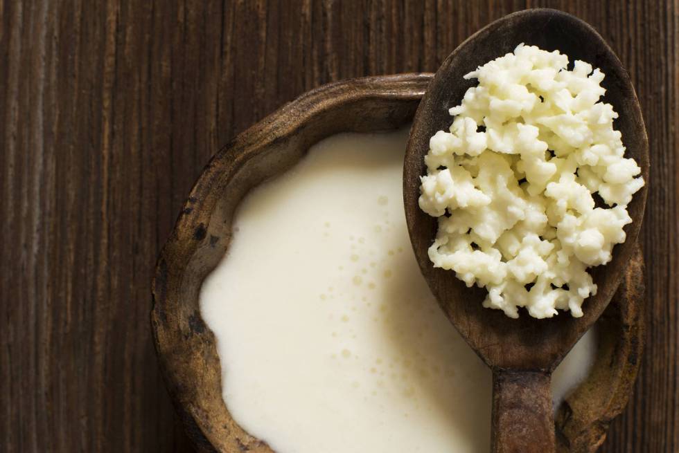 Kéfir: el lácteo perfecto para quienes les sienta mal la leche (tiene  alternativa vegana) | BuenaVida | EL PAÍS